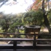 京都嵐山でもお一人様に優しい旅館だった『京都嵐山 花のいえ』宿泊記