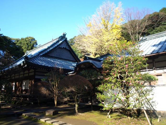箱根温泉の画像