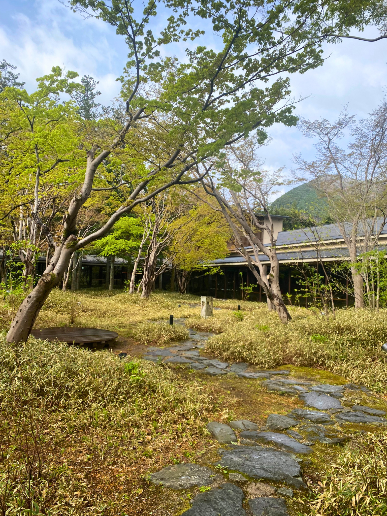 『星野リゾート 界 鬼怒川』宿泊記ー何にも縛られない、ゆっくりと流れる幸せな時間。 | お宿ブログの「宿ログ.jp」